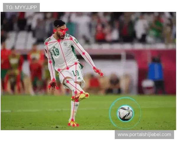 2023年卡塔尔世界杯排名详细介绍及影响因素分析助你掌握比赛动态